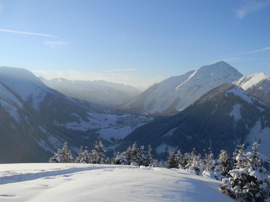 Alpin Austria Apartment *