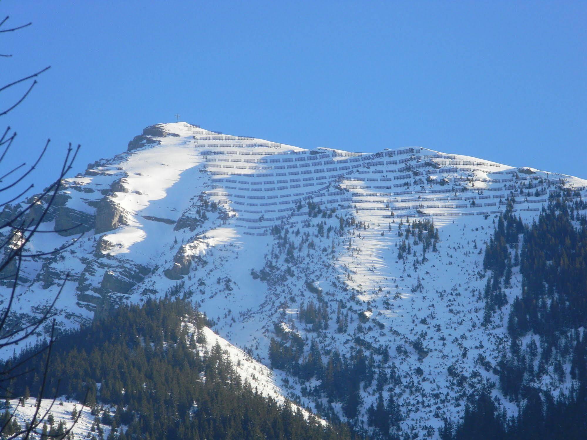 Alpin Austria Apartment *